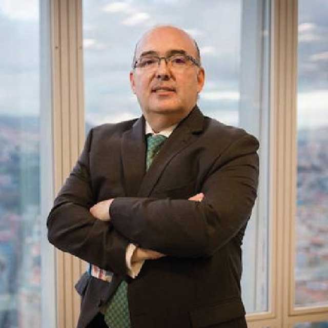 Dr. Ignacio Ansotegui 